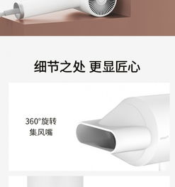 直白HL311負離子吹風機 發廊級大功率，溫柔守護你的三千絲